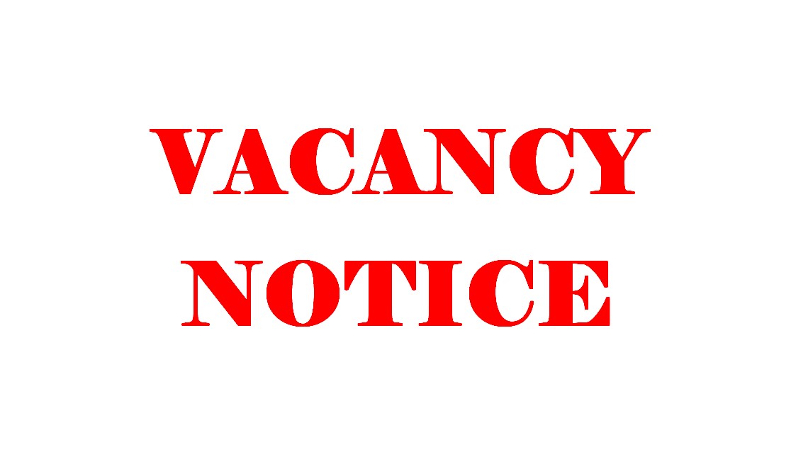 Vacancy Notice - Position of Marketing Assistant in Embassy of India, Reykjavik